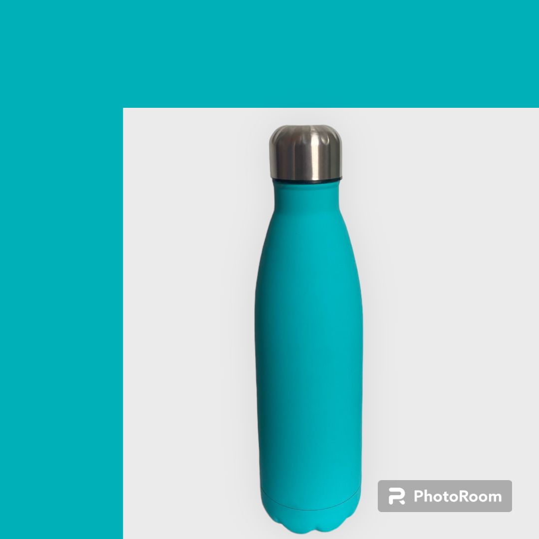 Stainless Steel Water Bottle