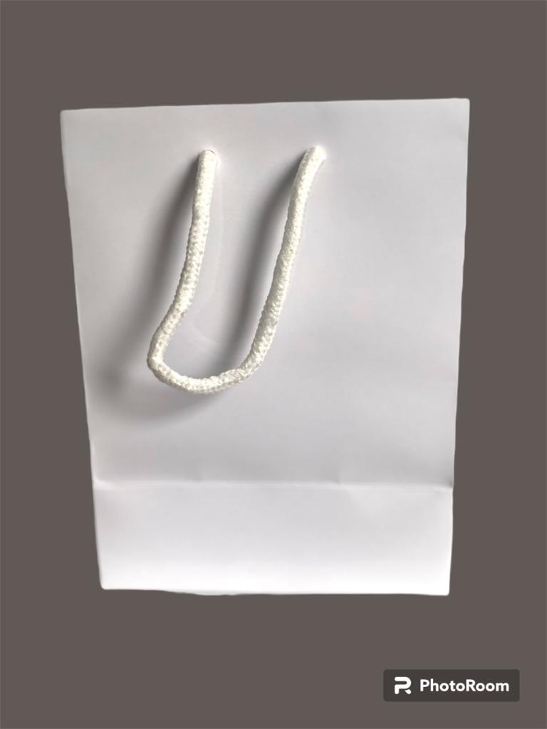 Small White gift bag